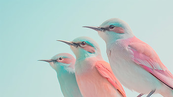 Pastel Perch: Serene Bird Trio, Animal, bird, Pastel Color, nature, Wildlife HD wallpaper