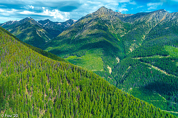 Landscape, Nature, Mountains, Forest, Slope HD wallpaper