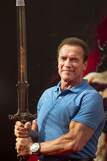 Arnold Schwarzenegger, Conan the Barbarian, Actor's desire, Iconic character HD phone wallpaper