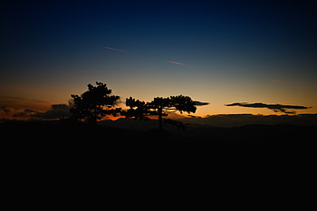 Trees, Sunset, Sky, Clouds, Horizon, Dark HD wallpaper