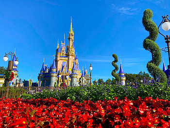 Bay Lake, Disneyland HD wallpaper
