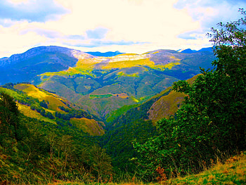 Landscape, Nature, Trees, Mountains, Bush HD wallpaper