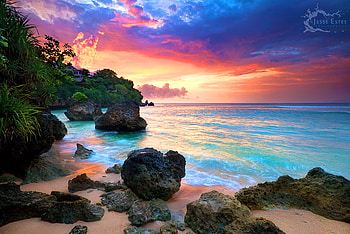 Evening shore, blue, waves, clouds, trees, sky, gold, rocks, sunset HD wallpaper