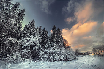 Magical of winter, winter, clouds, trees, snow HD wallpaper