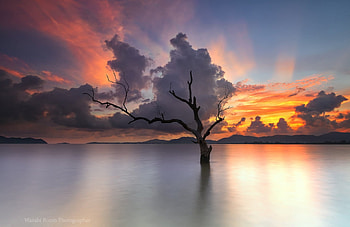 * Sunset *, sky, nature, lake, sunset HD wallpaper