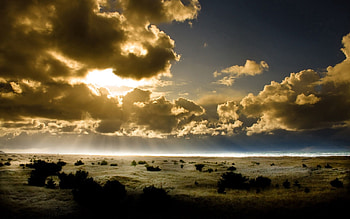 Nature, Sky, Sun, Clouds, Bush, Shine, Light, Beams, Rays, Earth, Land, Outlines HD wallpaper