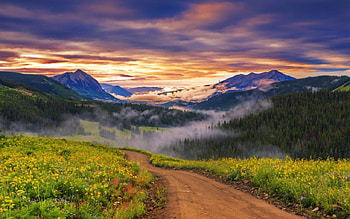 Mountain, grass, tree, lake, mist, fog, nature, sky, water, cloud HD wallpaper