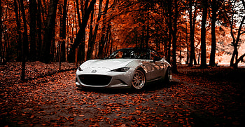 Mazda , mazda, cars HD wallpaper