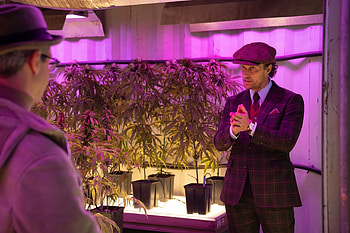 The Gentlemen movie, Guy Ritchie's latest, Crime caper, Stylish storytelling HD wallpaper