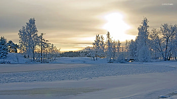 Winter Sunset, Winter, Sunset, Snow, Trees, Clouds, Sky HD wallpaper