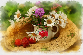 Still Life, artwork, petals, blossoms, flowers, hat HD wallpaper