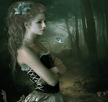 In the depth of forest, in the forest, dark forest, depth HD wallpaper