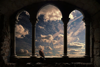 The Sky, clouds, sky, windows, birs HD wallpaper