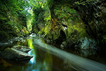Greenery, , River, Nature HD wallpaper
