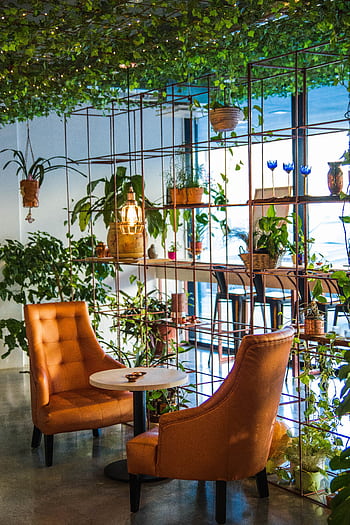 Inviting café corner with lush plants and cozy seating, perfect for relaxation. HD phone wallpaper