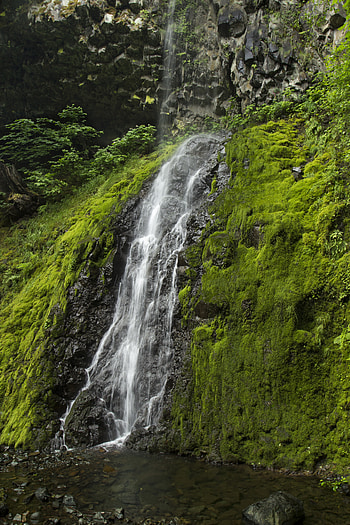 Nature, Water, Stones, Rock, Waterfall, Moss HD phone wallpaper