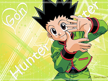hunter X hunter, cute, colorful, nice, powerful HD wallpaper