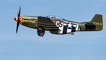 WW2 P51D Mustang ~ 