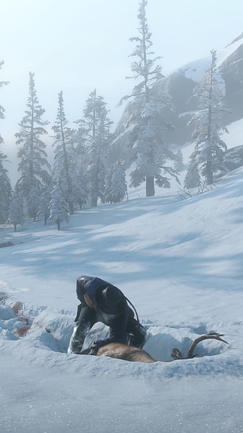 Arthur Hunting, video game, Red Dead Redemption 2 HD phone wallpaper