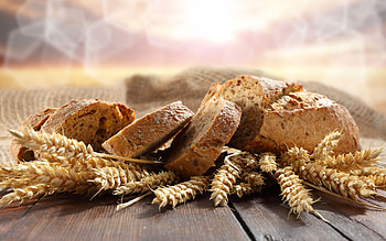 Food graphy, Savory breads, Gourmet delights, Appetizing visual HD wallpaper