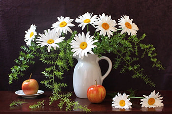 *** Still life ***, life, flower, nature, flowers, still HD wallpaper