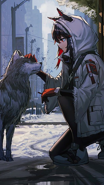 Anime, Girl, Wolf, Texas, Arknights, , , Background, and , Anime Wolf HD phone wallpaper