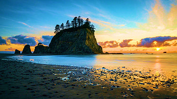 Sunset on the coast of Olympic National Park, color, washington, trees, sky, rocks, sunset, usa HD wallpaper