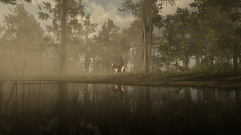 Red Dead Redemption 2 Sunset in the bayou, Red Dead Redemption 2, western, horse, John Marston HD wallpaper