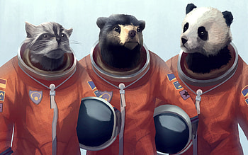 Art, Cat, Bear, , Drawing, Panda, Costume HD wallpaper