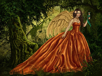 sanctuary, angel, bird, forest HD wallpaper