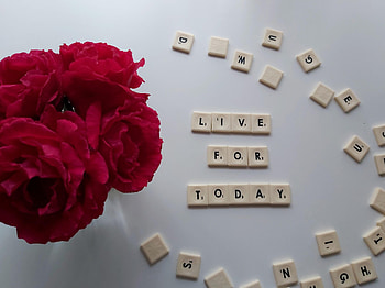 Words, Petals, Inscription, Motivation, Cubes HD wallpaper