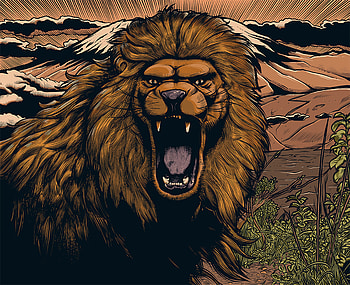 Art, Grin, Muzzle, Lion, Mane, Spiteful HD wallpaper