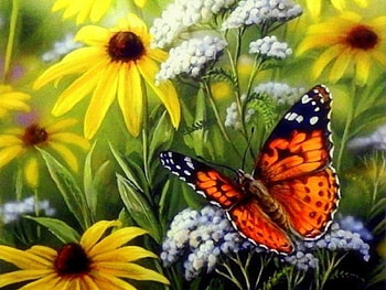 Butterfly on flowers, animal, insects, flowers, butterfly HD wallpaper