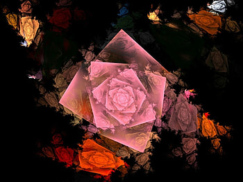 Antique rose collage, roses, collages HD wallpaper