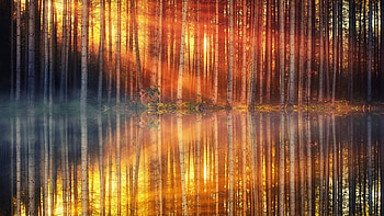Sunset Day Light Lake Forest , lake, forest, nature, reflection HD wallpaper