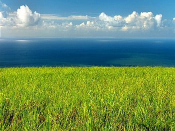 Field, fields, nature HD wallpaper