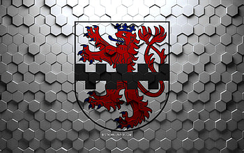 Flag of Leverkusen, honeycomb art, Leverkusen hexagons flag, Leverkusen, 3d hexagons art, Leverkusen flag HD wallpaper