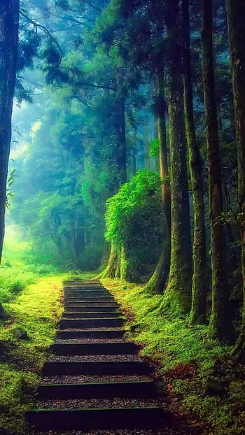 Beautiful For, Green Aesthetic HD phone wallpaper