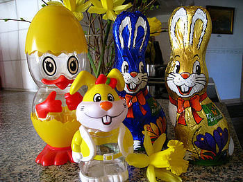 Easter Family, chicken, daffodil, colours, rabbit HD wallpaper