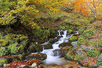 Water Cascades, creek, leaves, fall, colors, autumn, stones HD wallpaper