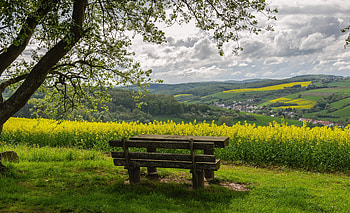 Landscape, Nature, Bench HD wallpaper
