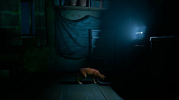 Stray cat, Stray, video game, cat HD wallpaper