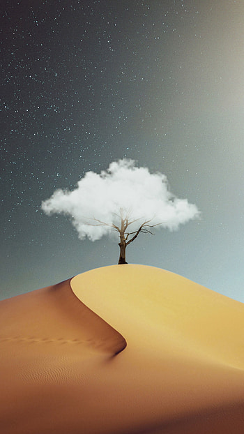 Sand, Desert, Miscellanea, Miscellaneous, Wood, Tree, Hill, Cloud HD phone wallpaper