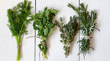 Herb gardening hacks, Beautiful garden secrets, Herb's fullness, Nature's bounty HD wallpaper