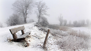 Winter , river, winter, bench, frost, country, fog, rural, snow, trees, nature HD wallpaper