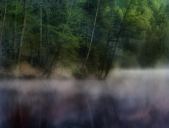 Early morning mist, mist, morning, early HD wallpaper