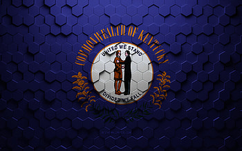 Flag of Kentucky, honeycomb art, Kentucky hexagons flag, Kentucky, 3d hexagons art, Kentucky flag HD wallpaper