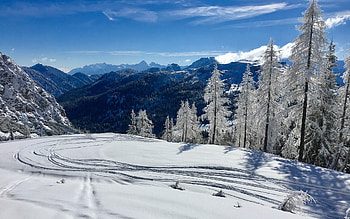 Winter in Austria, snow, winter, Alps, spruces, Austria, hoarfrost HD wallpaper