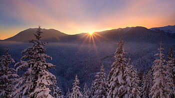 Winter, Nature, Sunset, Snow, Fir-Trees, Beautiful, Frost, Highlands, Forest Area HD wallpaper