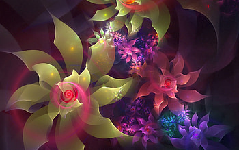 Abstract, Flowers, Patterns, Lines, Fractal, Color HD wallpaper